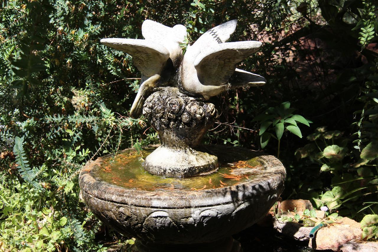 Whispering Pines Bed And Breakfast Collie Luaran gambar