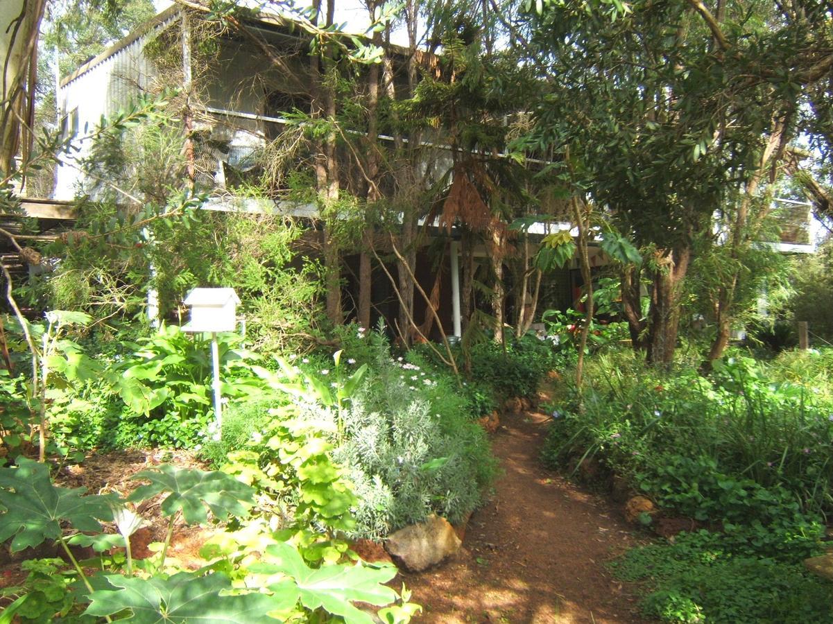 Whispering Pines Bed And Breakfast Collie Luaran gambar